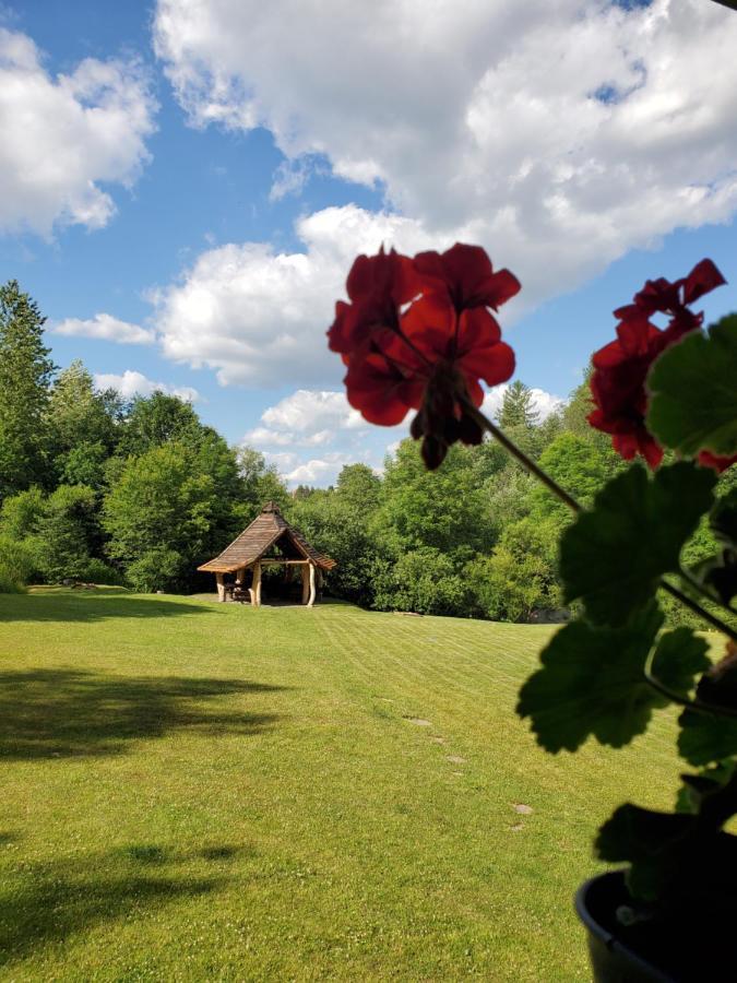 Zagroda Berezanka Polańczyk Exteriör bild